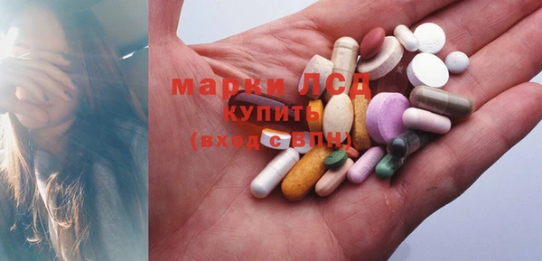 мяу мяу мука Лабытнанги