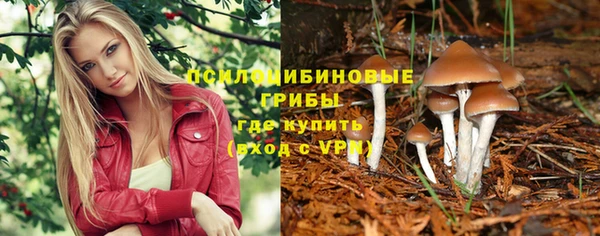 мяу мяу мука Лабытнанги