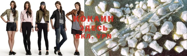 кокс Ладушкин